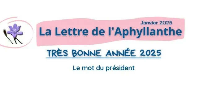 La Lettre de l’Aphyllanthe millésime 2025